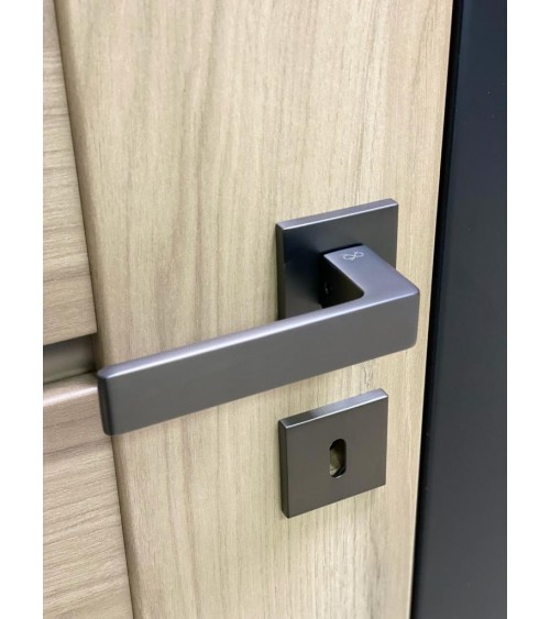 Titanium Apollo door handle design