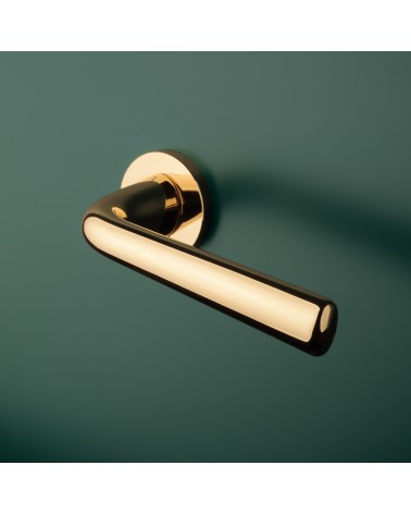 Polished gold TULIPA door handle interior door design mounted on a door