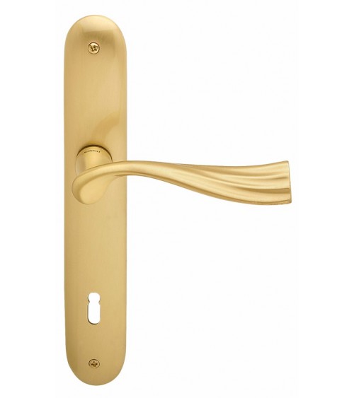 Door handle on backplate Mandelli River design handle