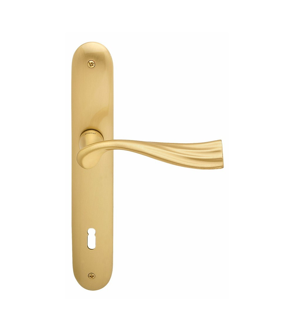 Door handle on backplate Mandelli River design handle