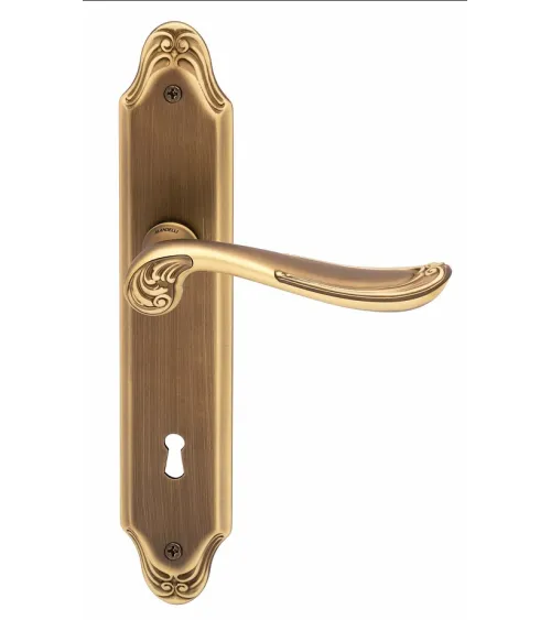 Door handle on backplate Mandelli Lord design handle
