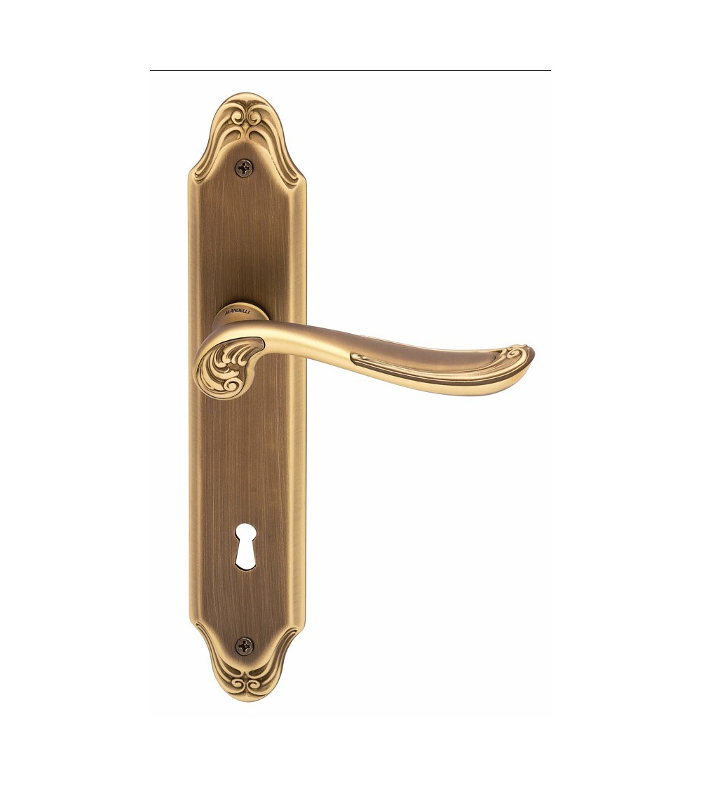 Door handle on backplate Mandelli Lord design handle
