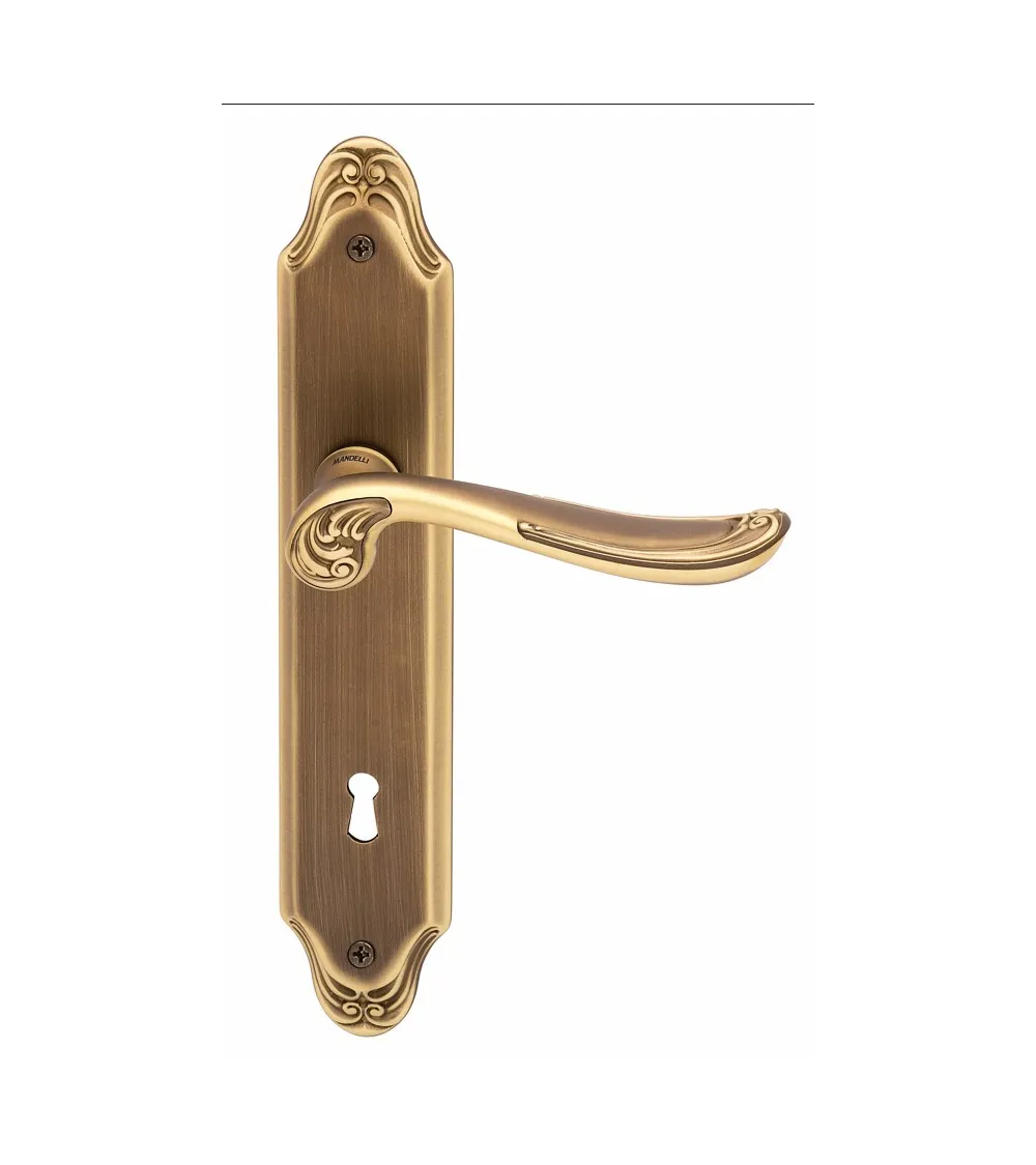 Door handle on backplate Mandelli Lord design handle