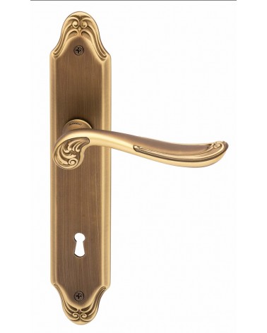 Door handle on backplate Mandelli Lord design handle