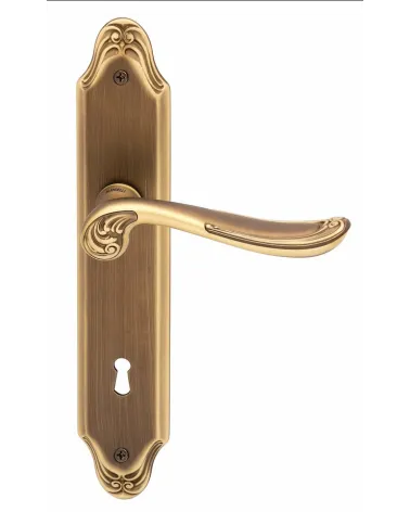 Door handle on backplate Mandelli Lord design handle
