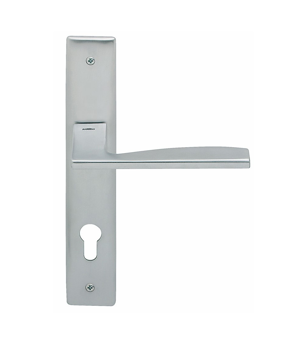 Door handle on backplate Mandelli Link design handle