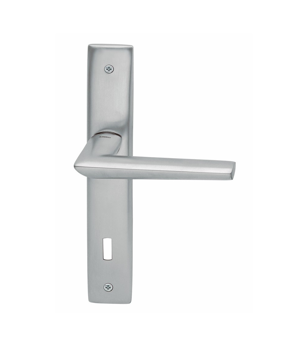 Door handle on backplate Mandelli Isi design handle