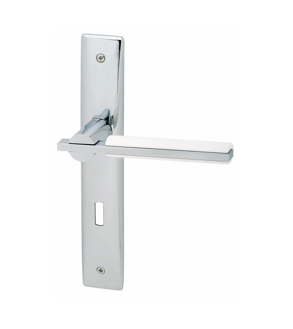 Door handle on backplate Mandelli Demì design handle