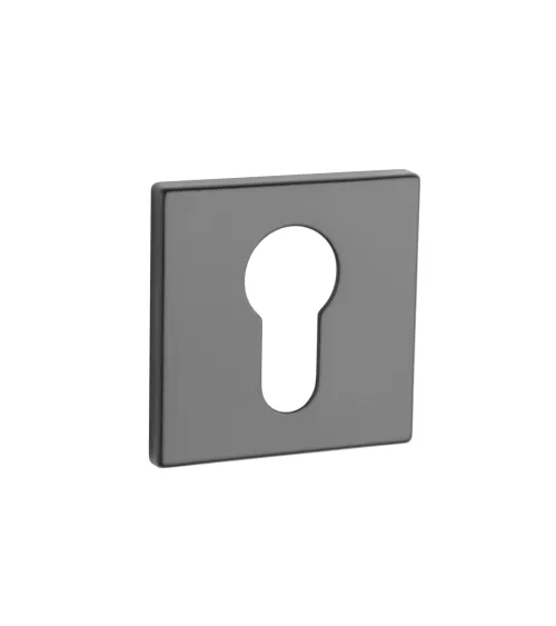 AP Q 5S PZ door rose - design handle