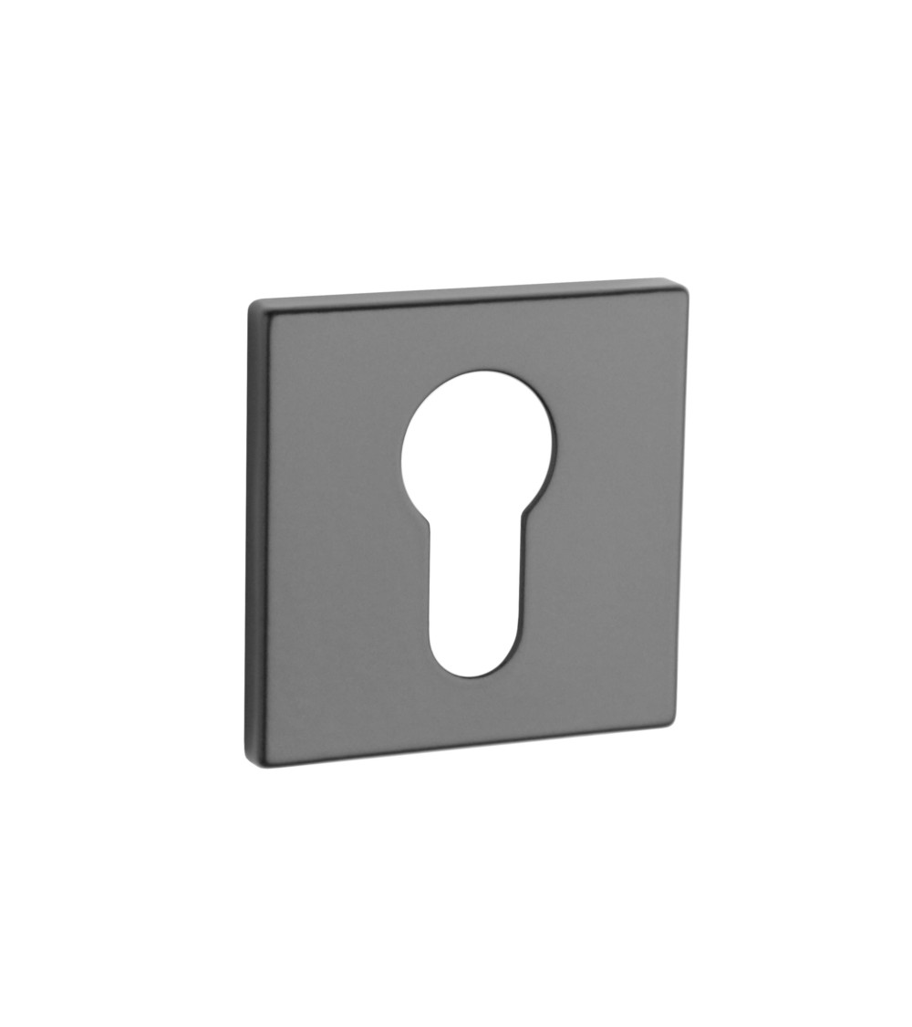 AP Q 5S PZ door rose - design handle