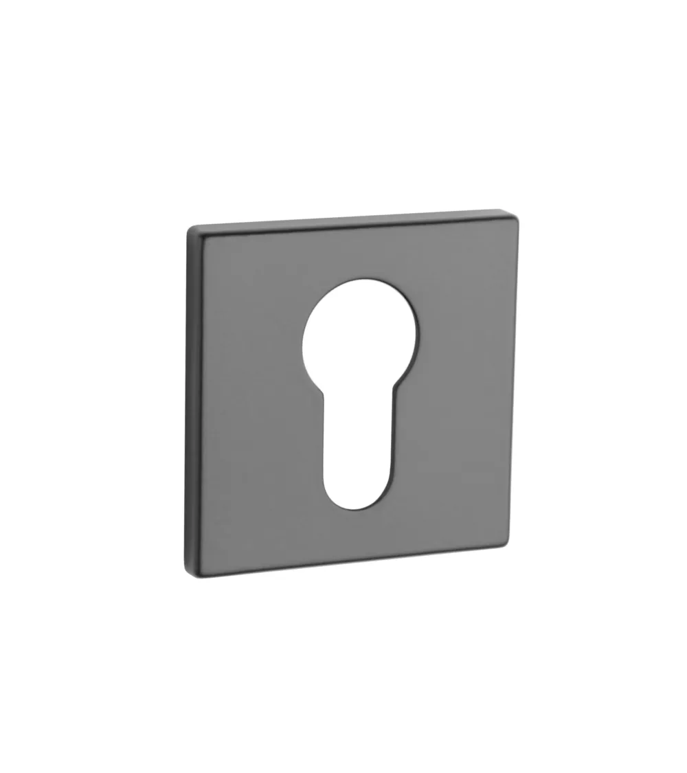 AP Q 5S PZ door rose - design handle