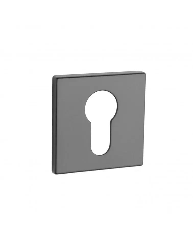 AP Q 5S PZ door rose - design handle