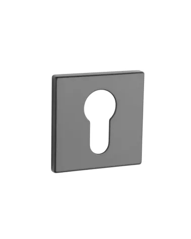 AP Q 5S PZ door rose - design handle