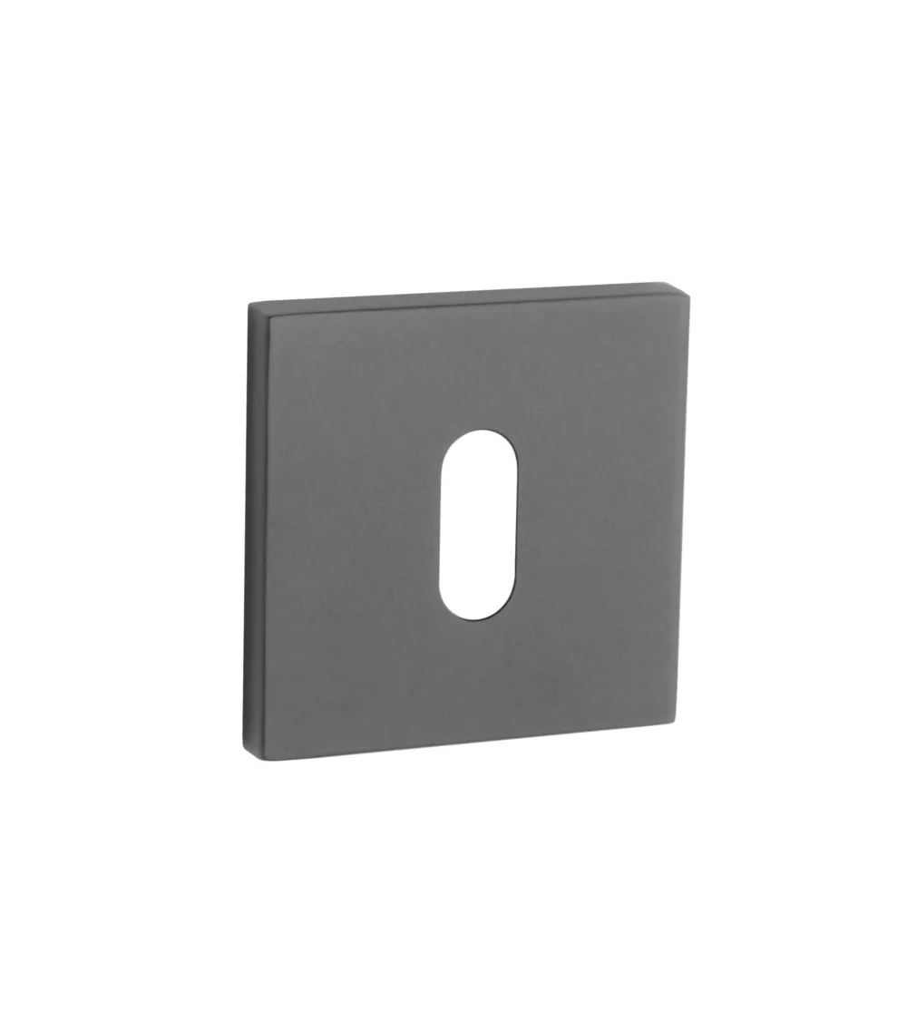AP Q 5S OB door rose - design handle