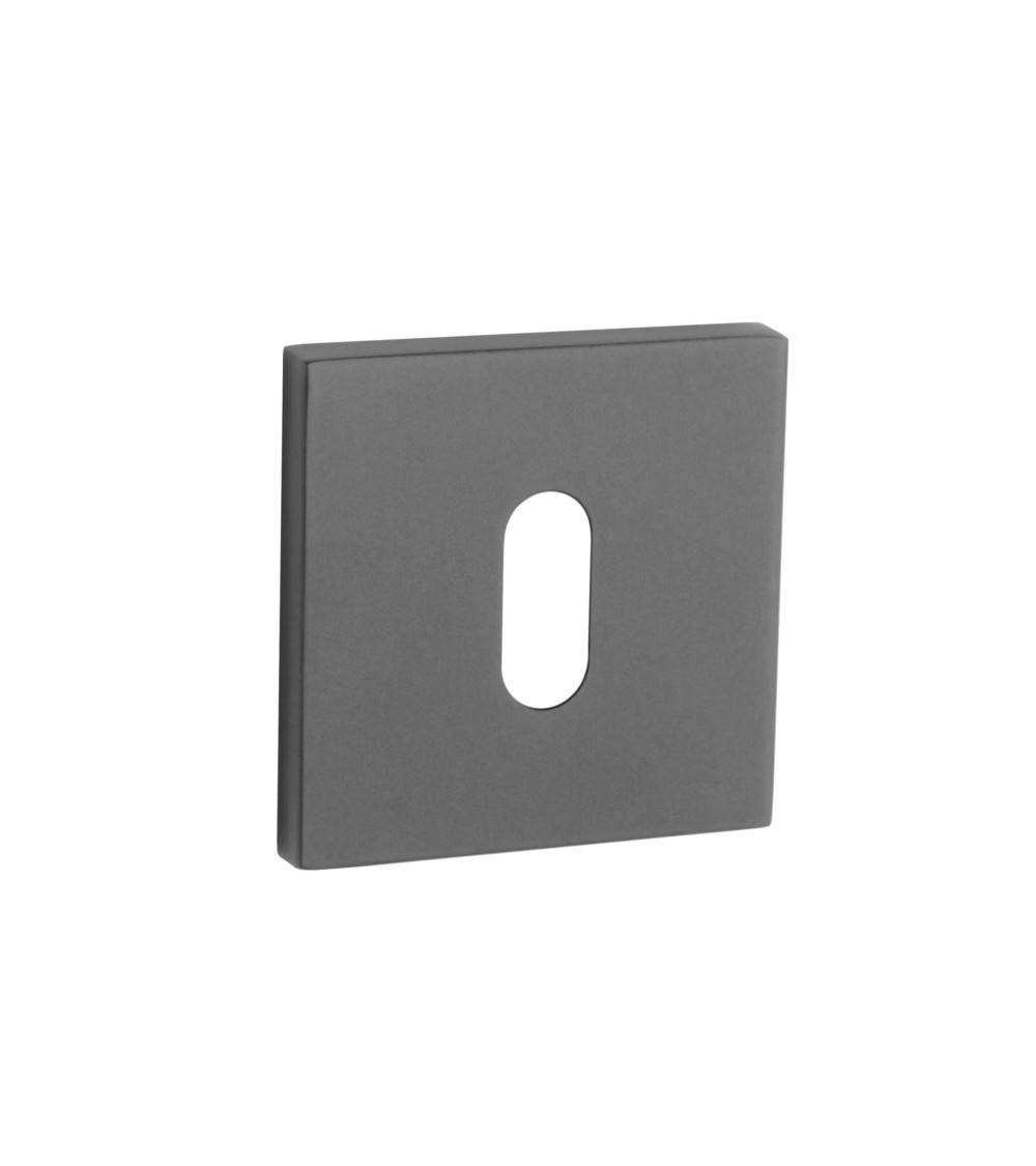 AP Q 5S OB door rose - design handle