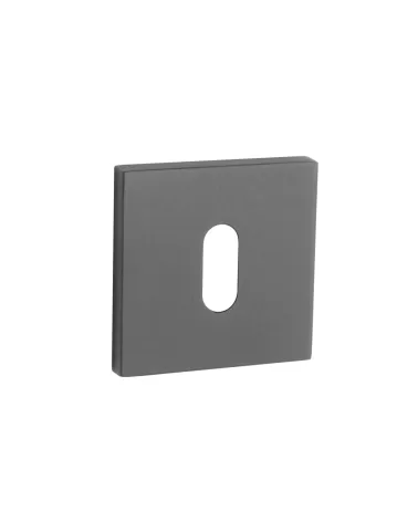 AP Q 5S OB door rose - design handle