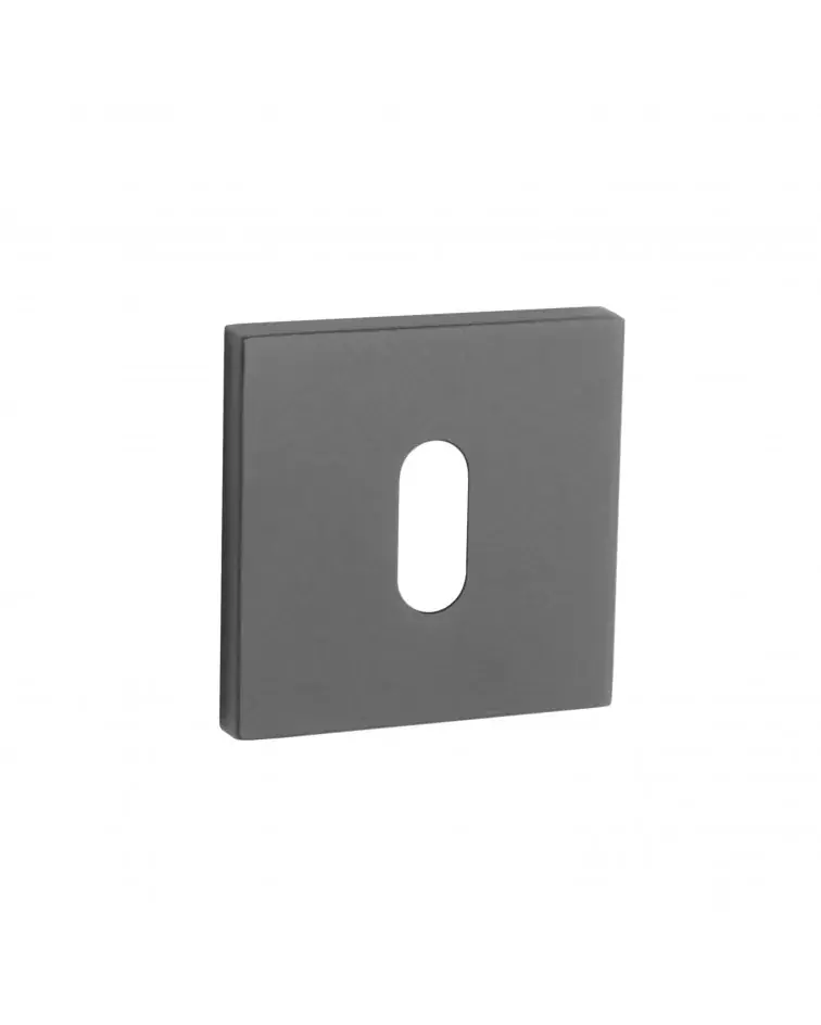 AP Q 5S OB door rose - design handle