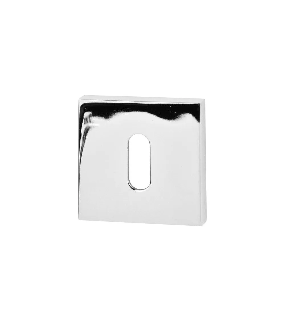 VS R65 Door Rose Keyhole L - designer hardware