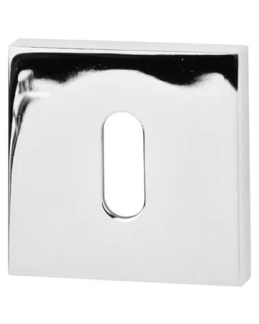VS R65 Door Rose Keyhole L - designer hardware