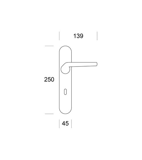 Satin chrome door handle ENTO LIFT