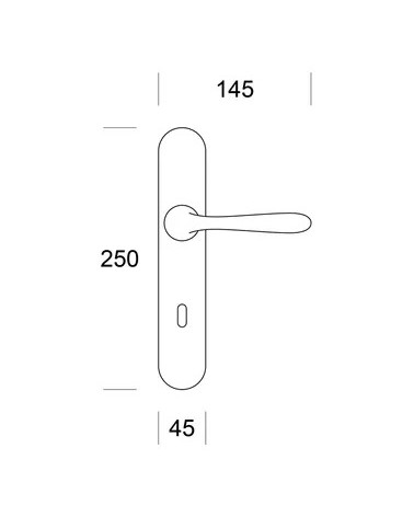 Satin chrome door handle ENTO ILEX
