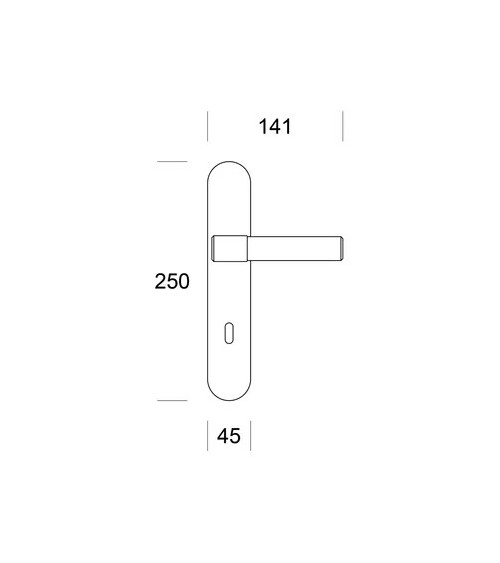 Polished gold Ento Ghost door handle design handle