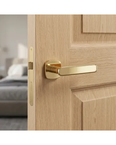 FLOW rounded square polished gold door handle