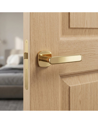 FLOW rounded square polished gold door handle