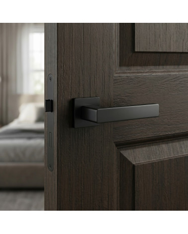 Elegant and Refined Black Door Handle - ERICA Model
