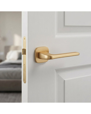 Solo door handle on rounded plate matt gold finish