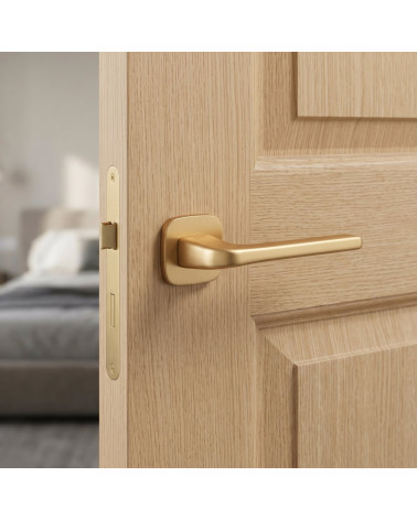 Solo door handle on rounded plate matt gold finish