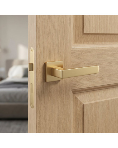 Apollo square door handles in matt gold