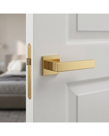 Polished gold Apollo square door handles