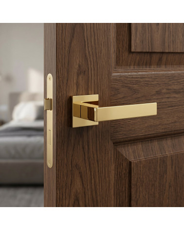 Polished gold Apollo square door handles