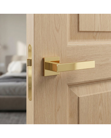 Polished gold Apollo square door handles