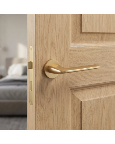 ANDREA satin gold finish door handle