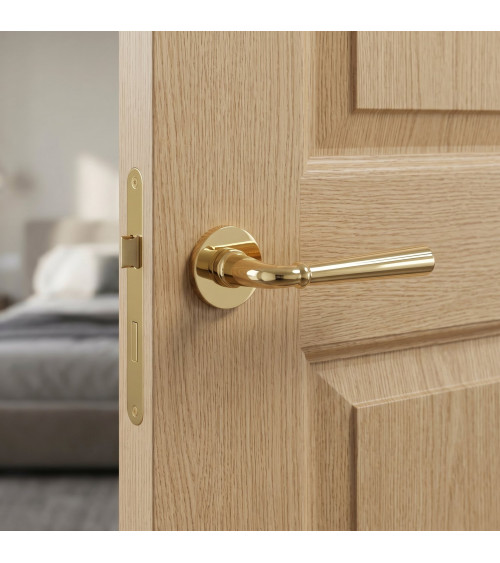 CASCADA polished gold door handle design handle