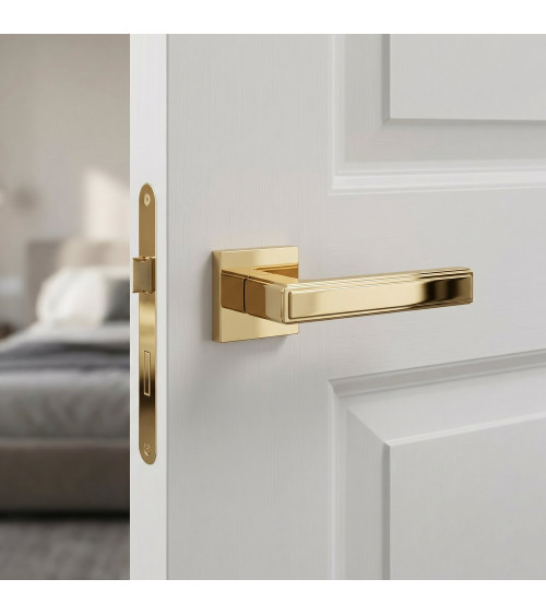 Polished gold FRESSIA door handle designer handle