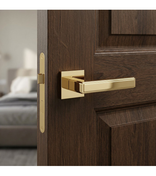 Polished gold FRESSIA door handle designer handle