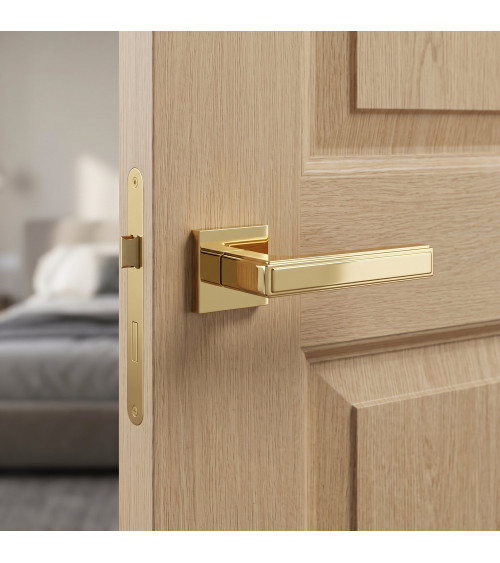 Polished gold FRESSIA door handle designer handle