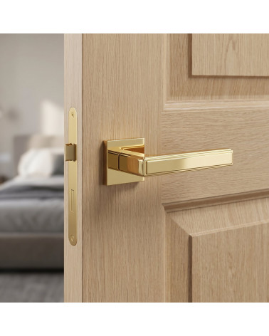 FRESIA door handle in polished gold finish