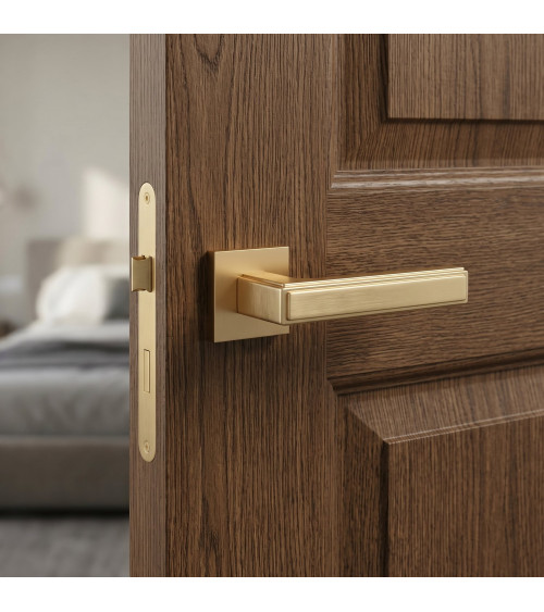 Satin gold FRESSIA door handle designer handle