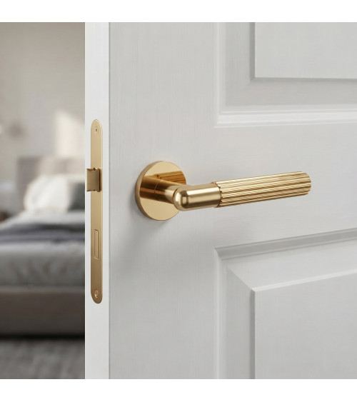 Polished gold LIVIA door handle designer handle