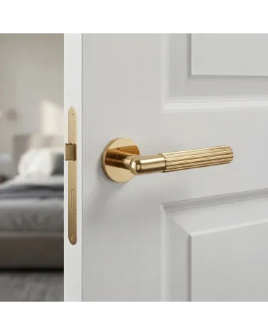 Polished gold door handle LIVIA