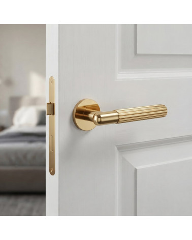 Polished gold door handle LIVIA
