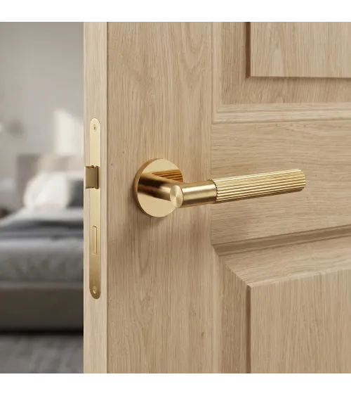 Polished gold LIVIA door handle designer handle