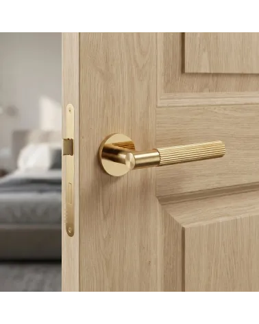 Polished gold door handle LIVIA