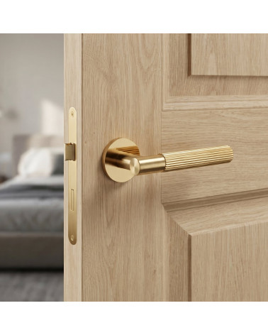 Polished gold door handle LIVIA