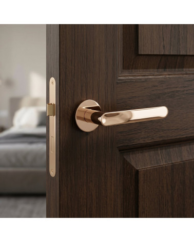 RITA door handle in polished gold finish