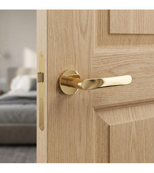 Polished gold RITA door handle designer handle